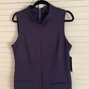 Sharagano Pinstripe Dress